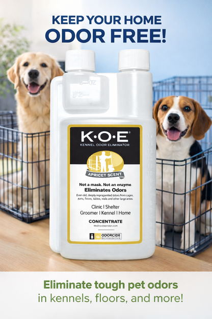 Neuro Nova Apricot Kennel Bottle 500ml/17oz